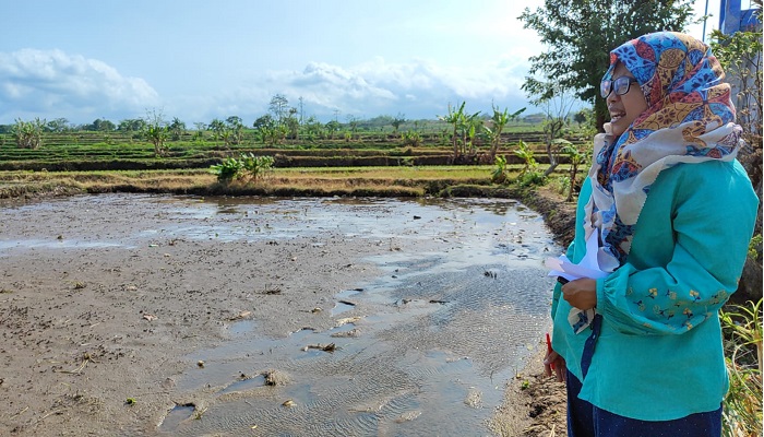 Dekan Pertanian Meninjau Laboratorium Terbuka Fakultas Pertanian